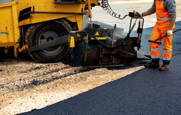 Best Driveway Border and Edging  in Anza, CA